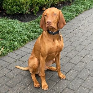 Meet your Posher, Todd